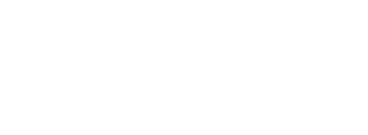 North Vector Dynamics logo
