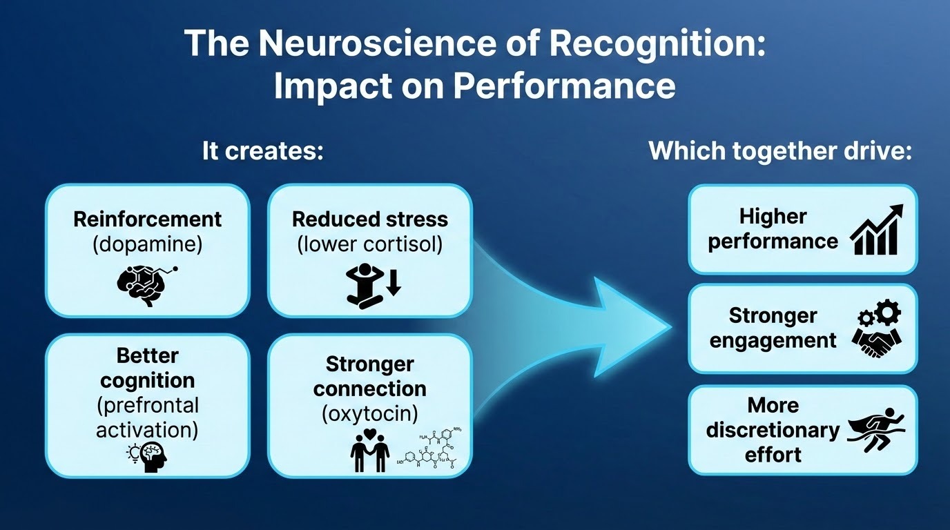 Can you create infographic for this:It creates:Reinforcement (dopamine)Reduced stress (lower cortisol)Better cognition (prefrontal activation)Stronger connection (oxytocin)Which together drive:Higher performanceStronger engagementMore discretionary effort