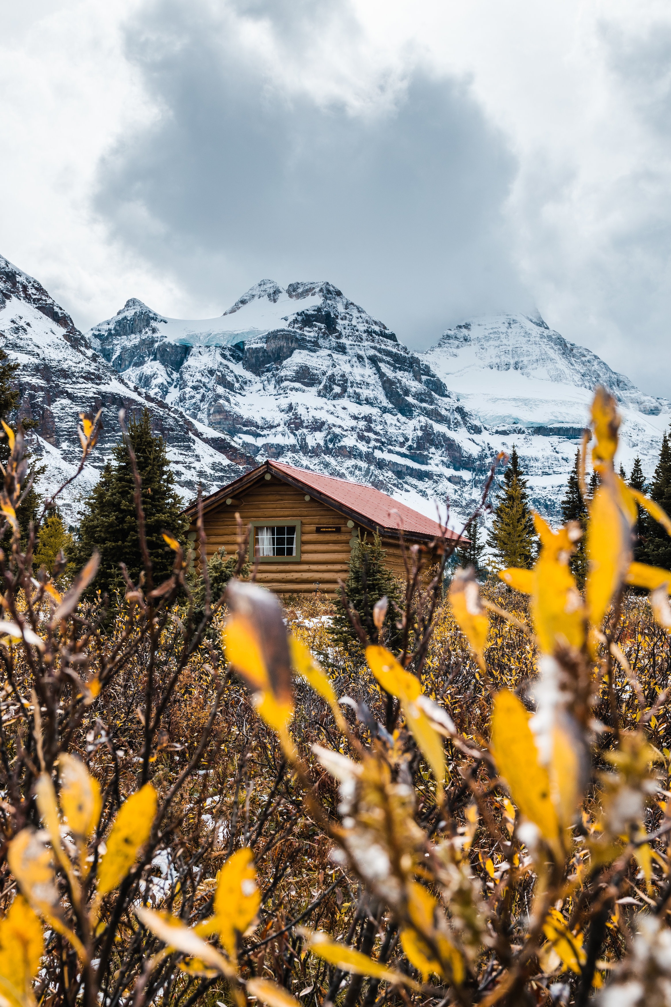 Image by Justin Rauch Photography