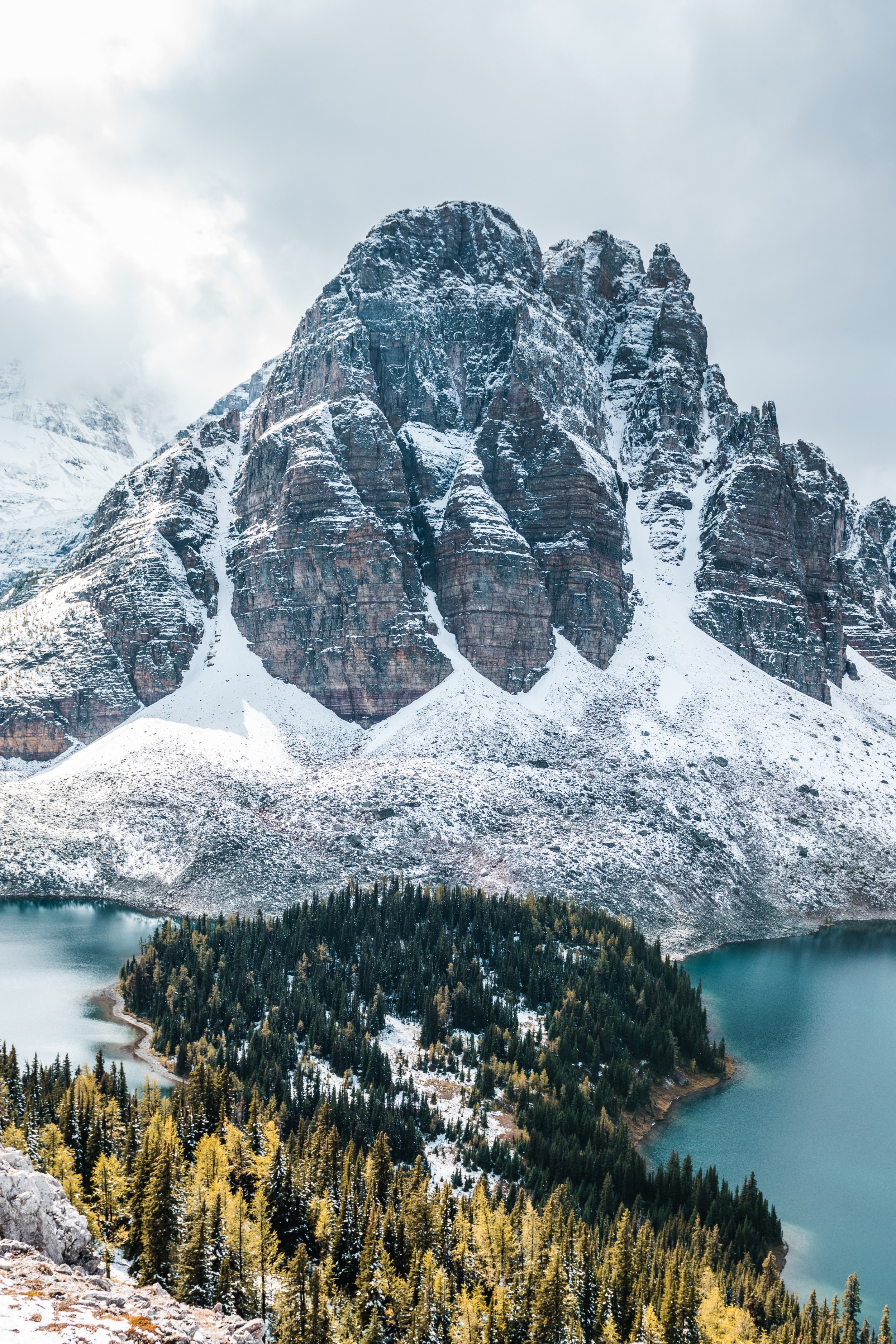 Image by Justin Rauch Photography