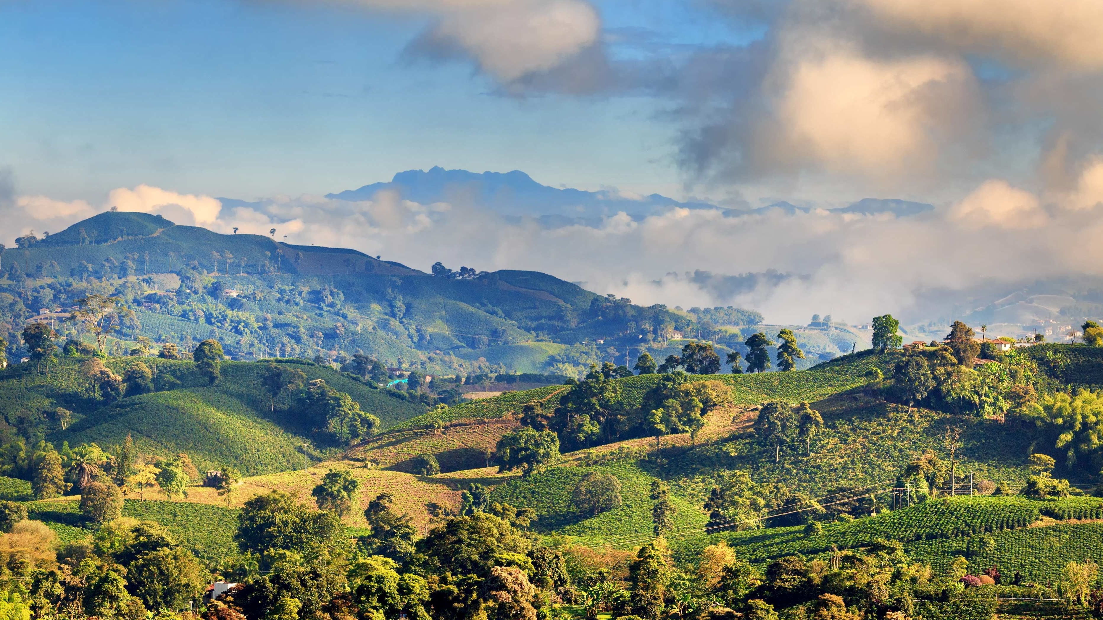 Couples Wellness Retreat in Colombia's Coffee Region: What to Expect