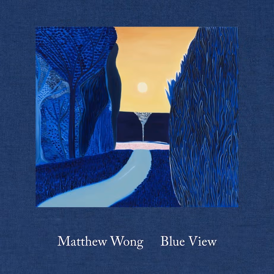 BLUE VIEW
