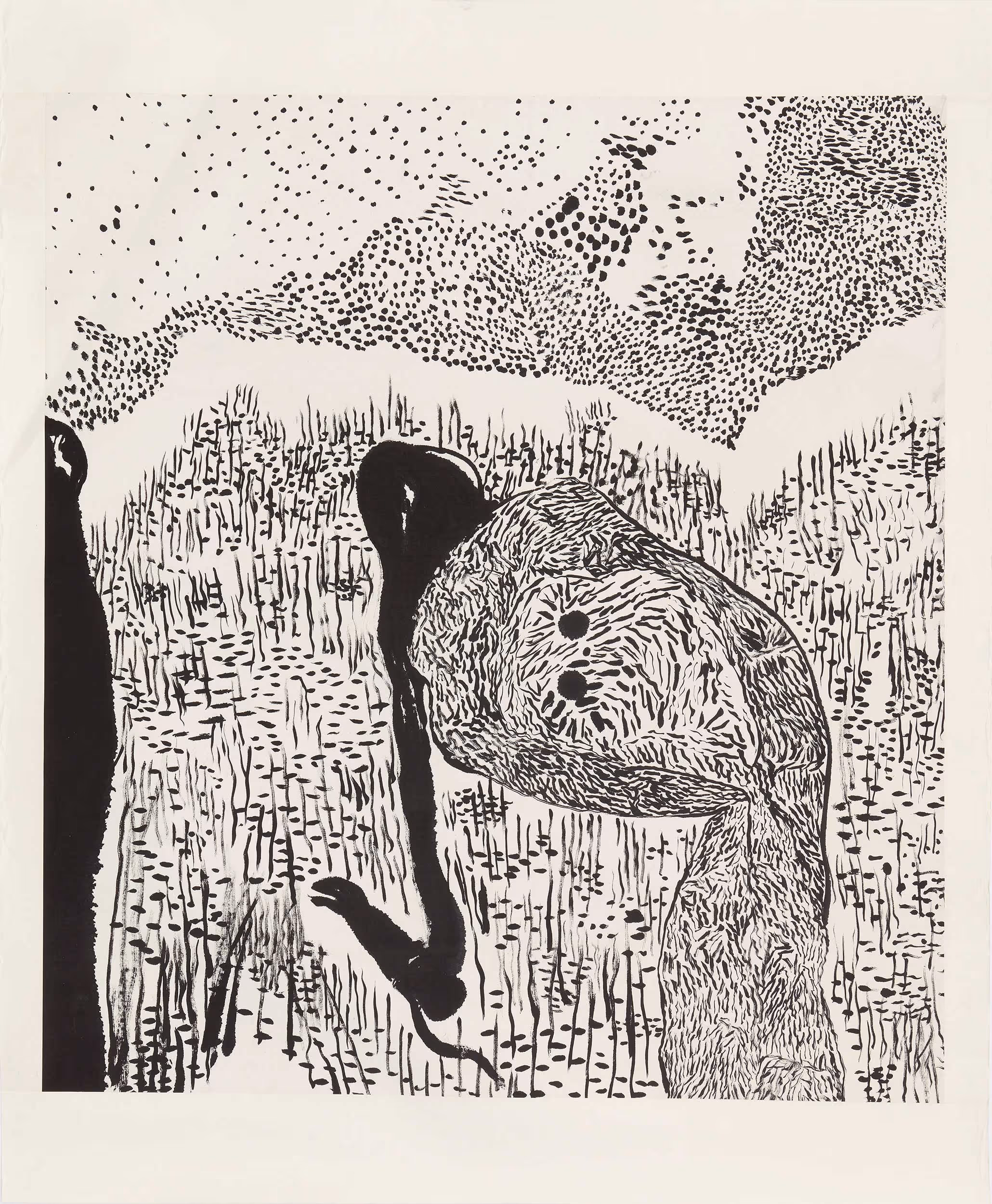 Stargazing