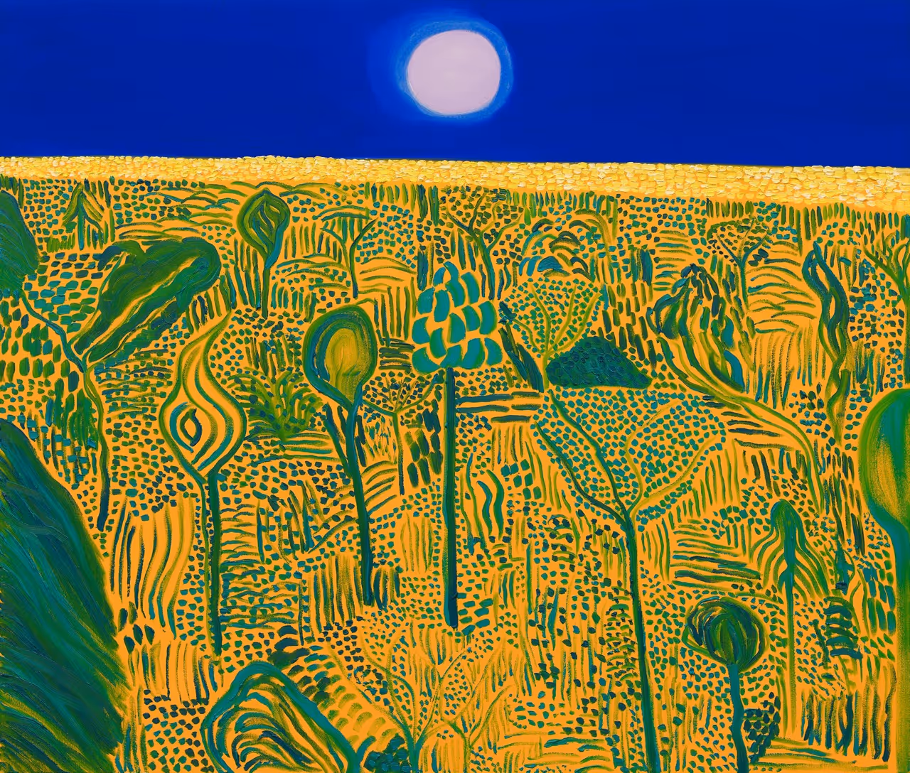 Coming of Age Landscape