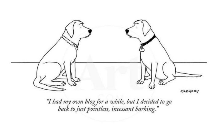 Blog