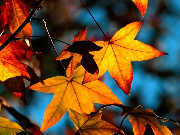 2023 Autumn Term Start