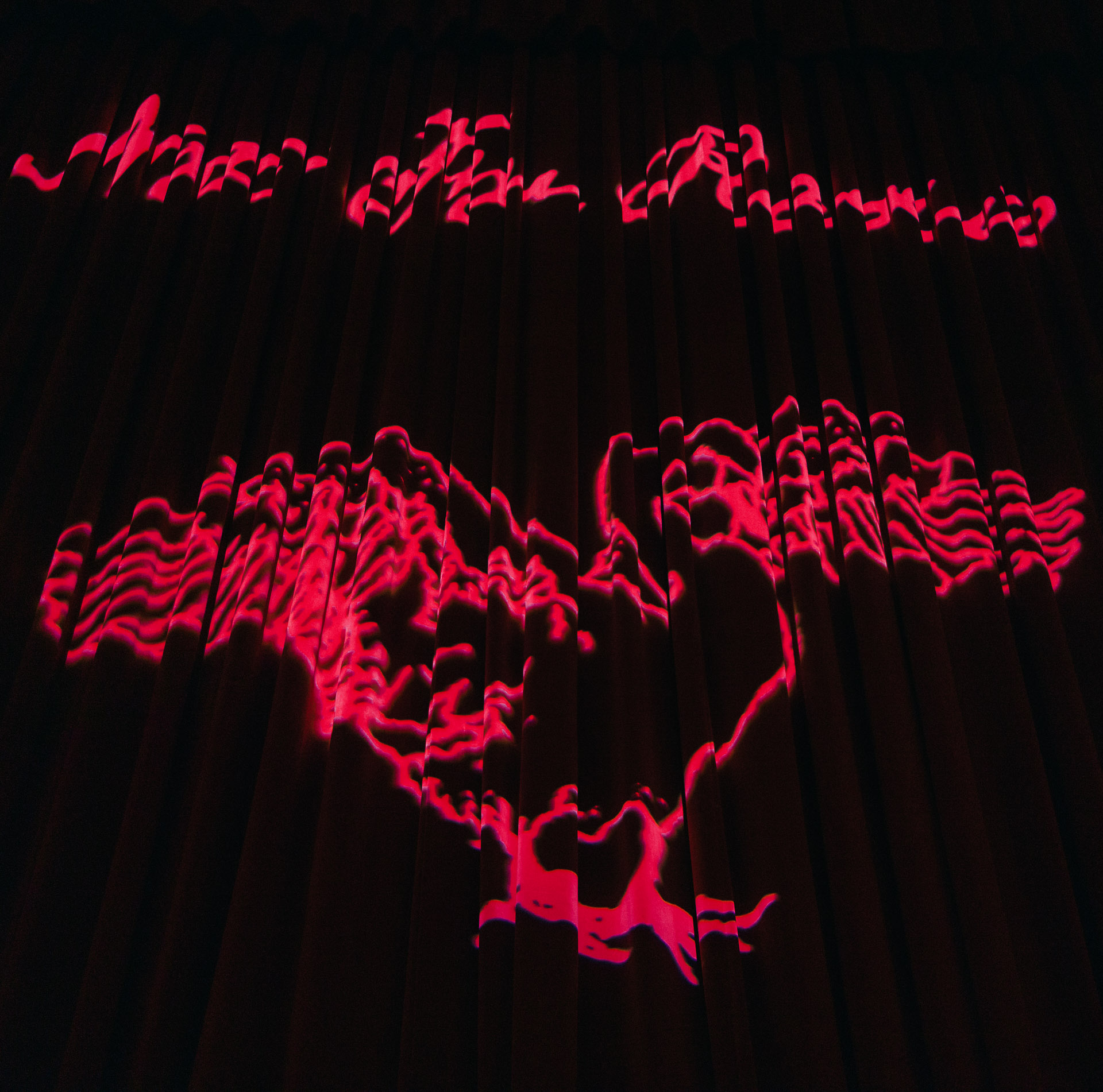 Review: “Not For Radio’s A Summer in the Forest: North America Tour”