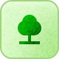 Growth plan icon