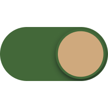 Toggle icon