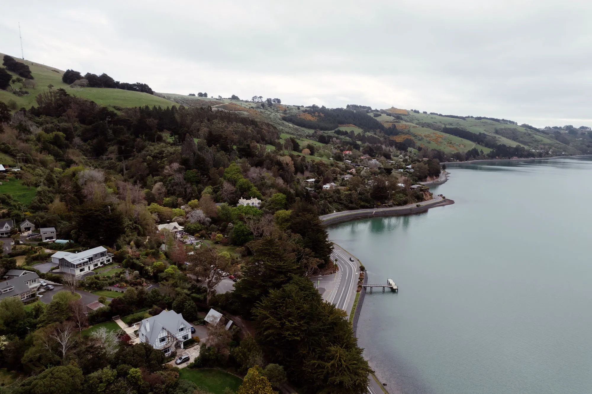 Glenfalloch Gardens view from above looking down Dunedin Harbour. 