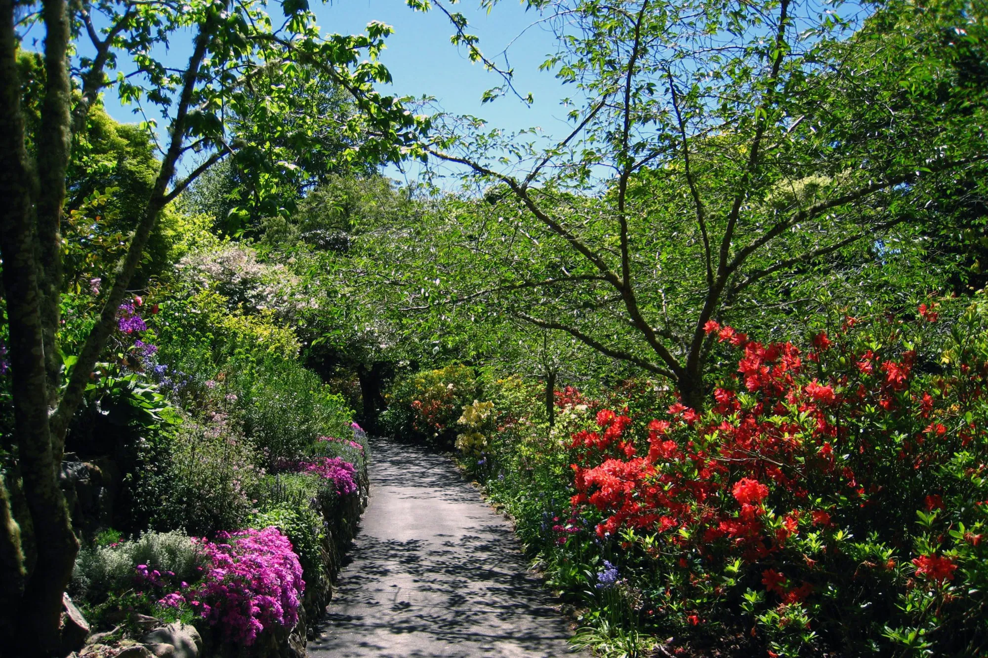 Garden pathway with flowers at Glenfalloch