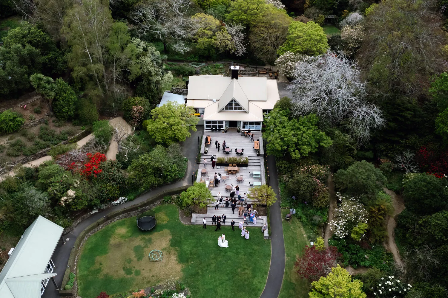 Aerial view of Glenfalloch Gardens on the peninsula of Dunedin
