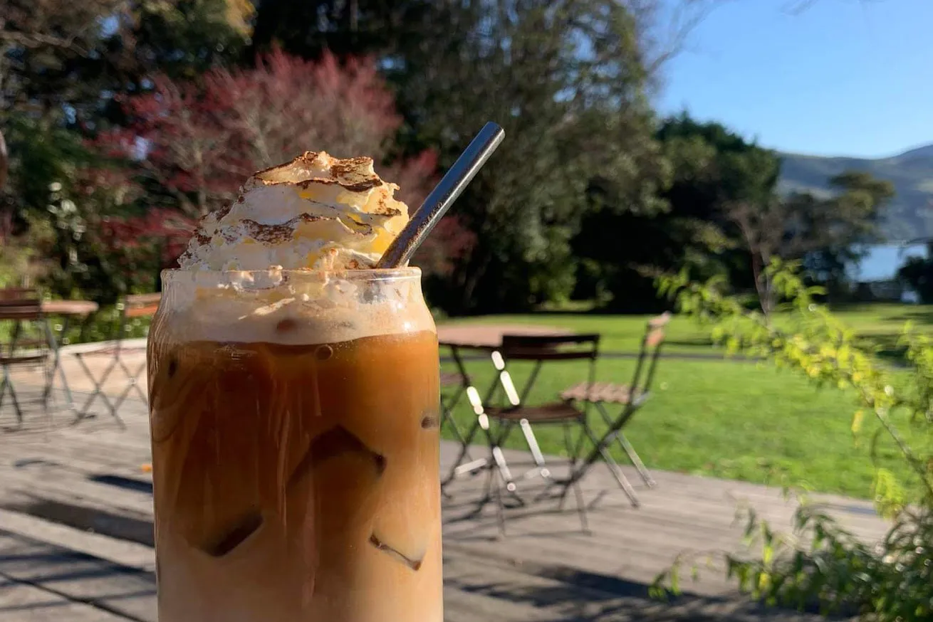 Close up of a beverage on the viewing deck at Glenfalloch Gardens in Dunedin