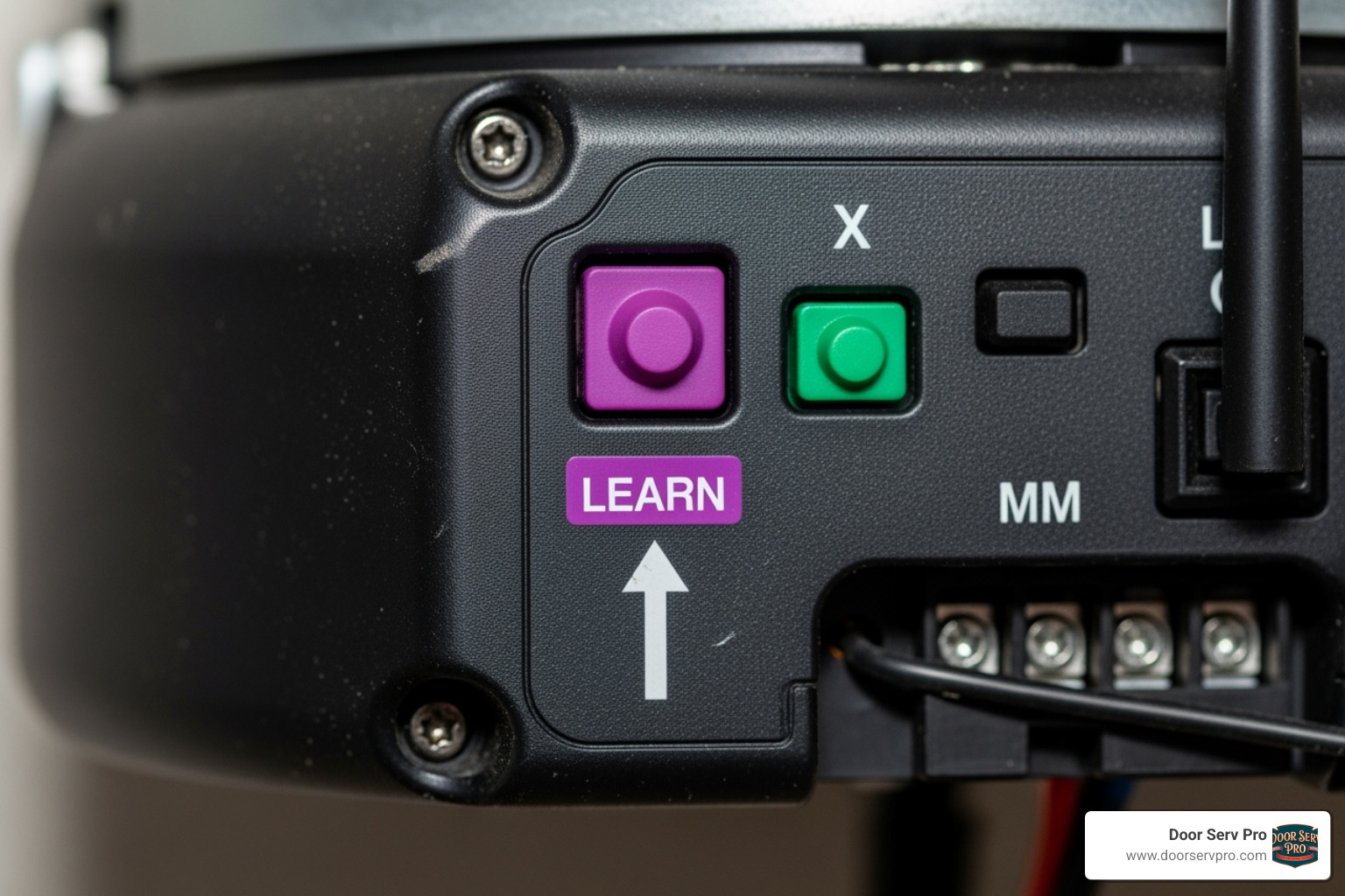 the back of a garage door opener motor, with an arrow pointing to the 'Learn' button - program garage door keypad