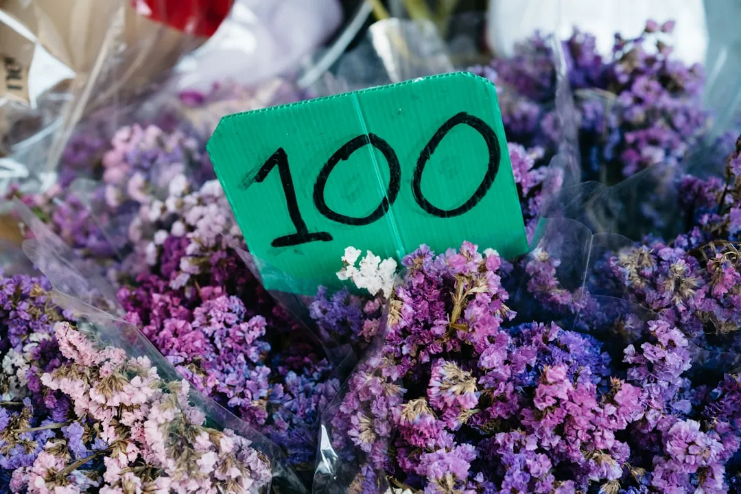 Your Guide to the 100% Satisfaction Guarantee