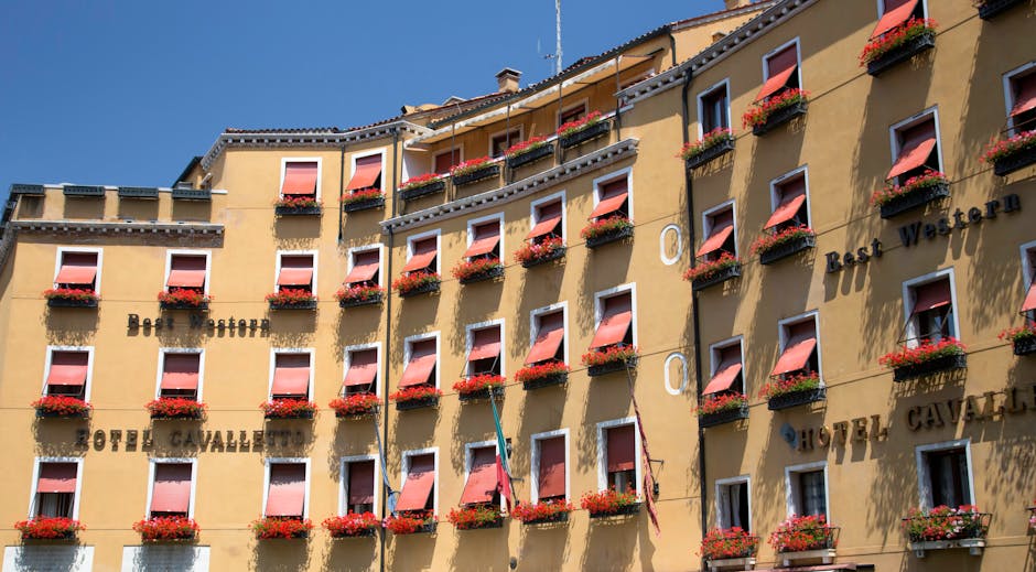 Berryville’s Best: A Guide to Top Awning Installation Services