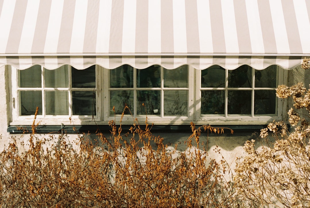 Awning-ly Good Tips for Your Spring Outdoor Setup