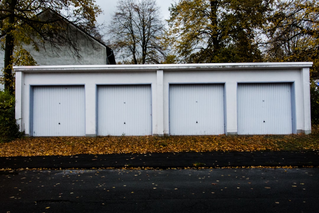 Garage Doors 101: Picking the Perfect Portal for Your Budget and Climate