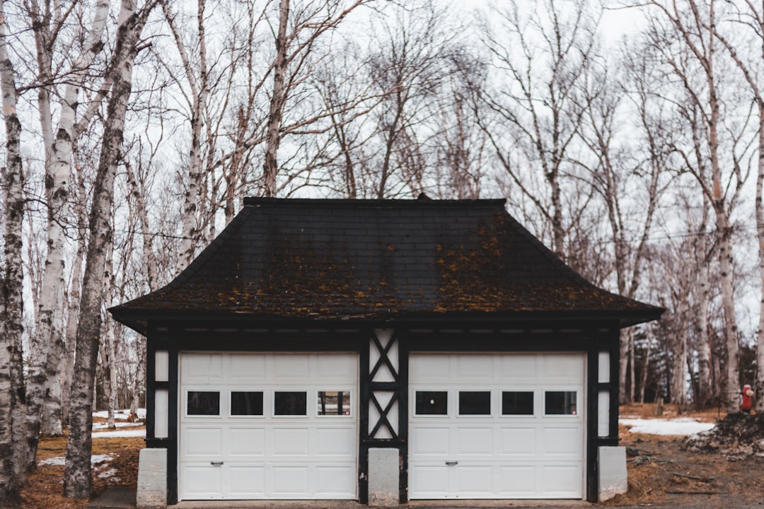 The Great Garage Door Debate: Choosing Your Material
