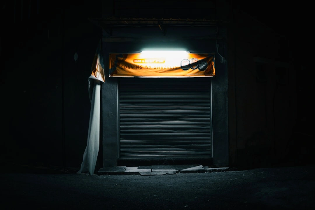 Manual Override 101: Using Your Garage Door Without Electricity