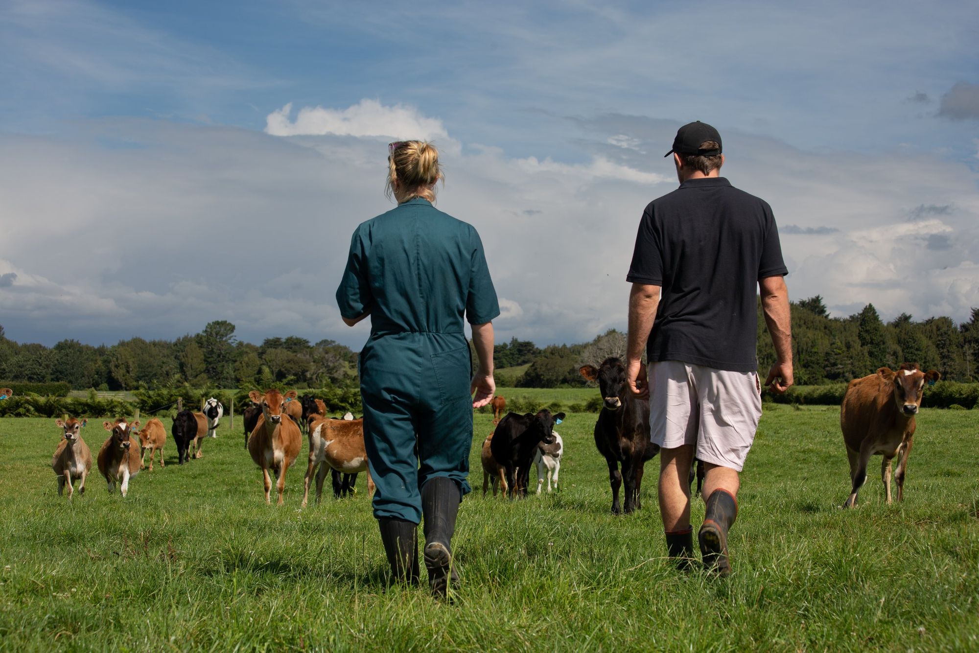 Farm Without Harm | Farm Safety Resources for Safer Farms