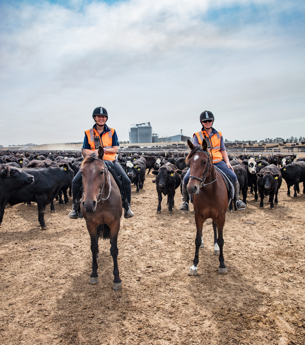 ANZCO Foods' Five Star Beef