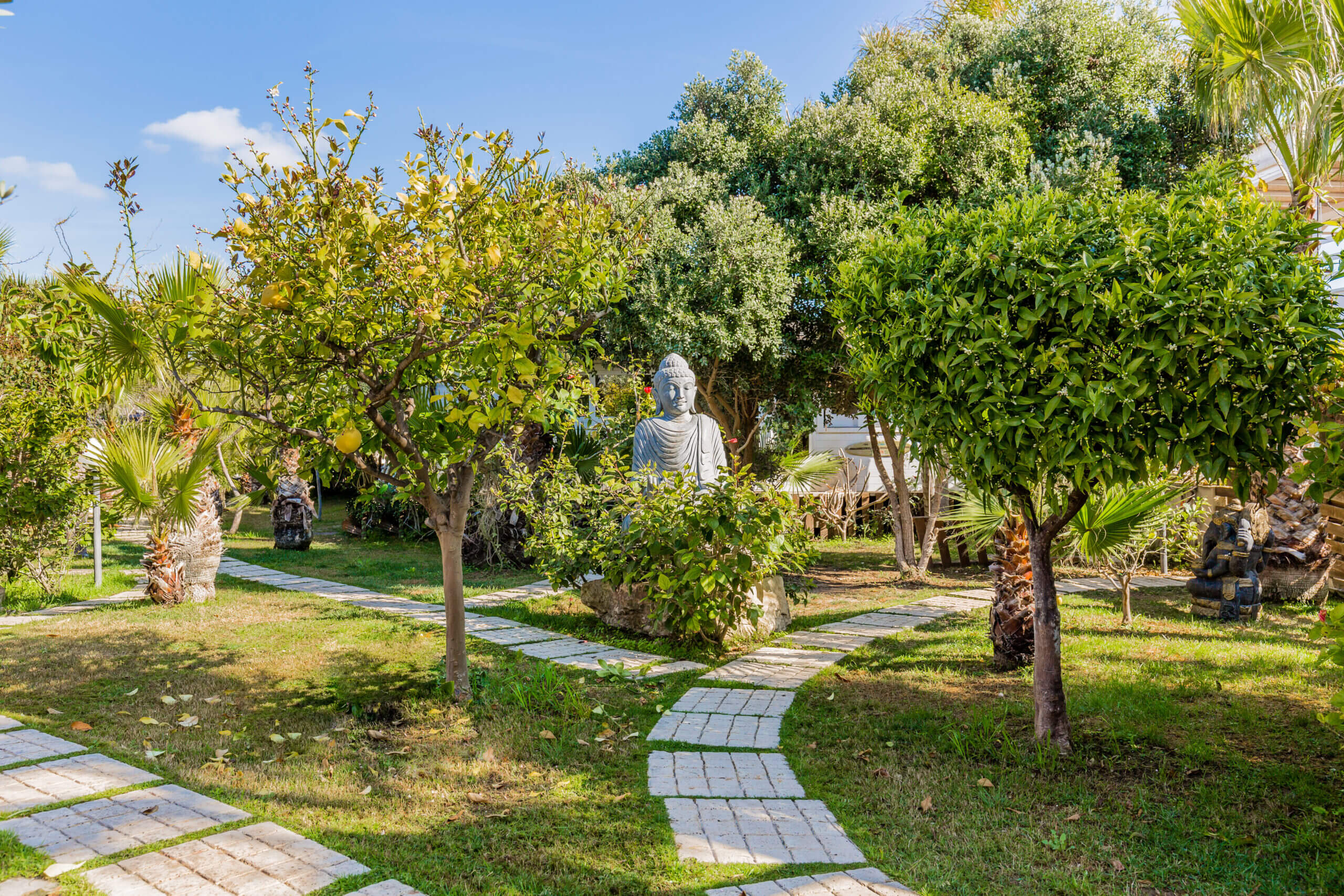 Tranquil meditation garden with Buddha statue at Floripa Yoga Retreat in Sicily, surrounded by lemon trees and peaceful greenery