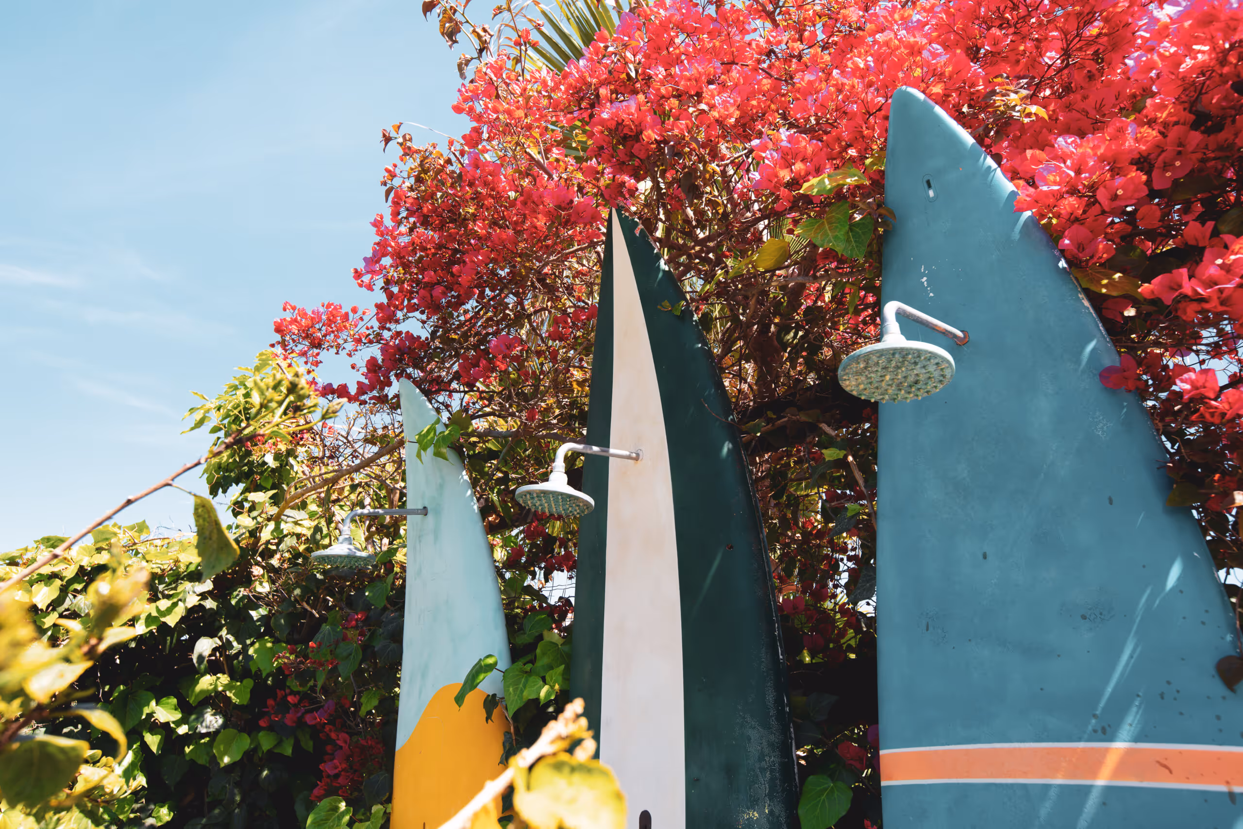 Three outdoor showers mounted on surfboards surrounded by green foliage and red flowers under a clear blue sky.