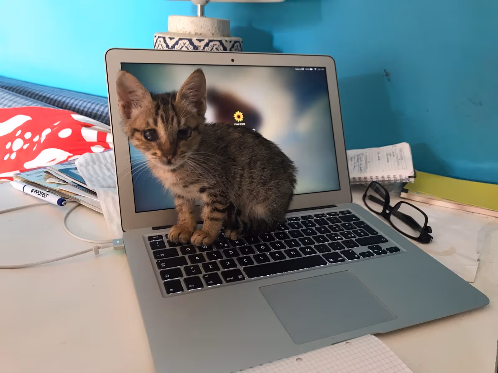 Small tabby kitten sitting on the keyboard of an open laptop on a cluttered desk.