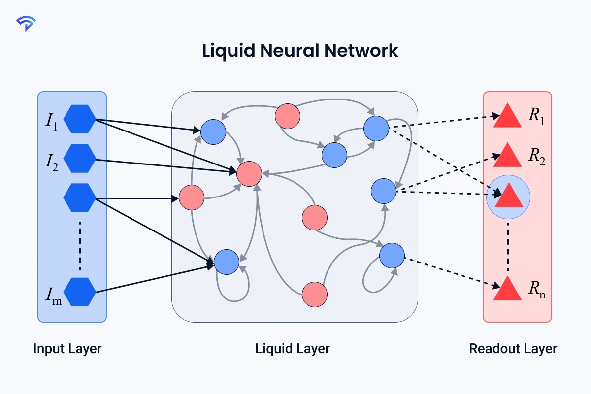Why We Call Them Liquid LLMs and What the Name Signifies?