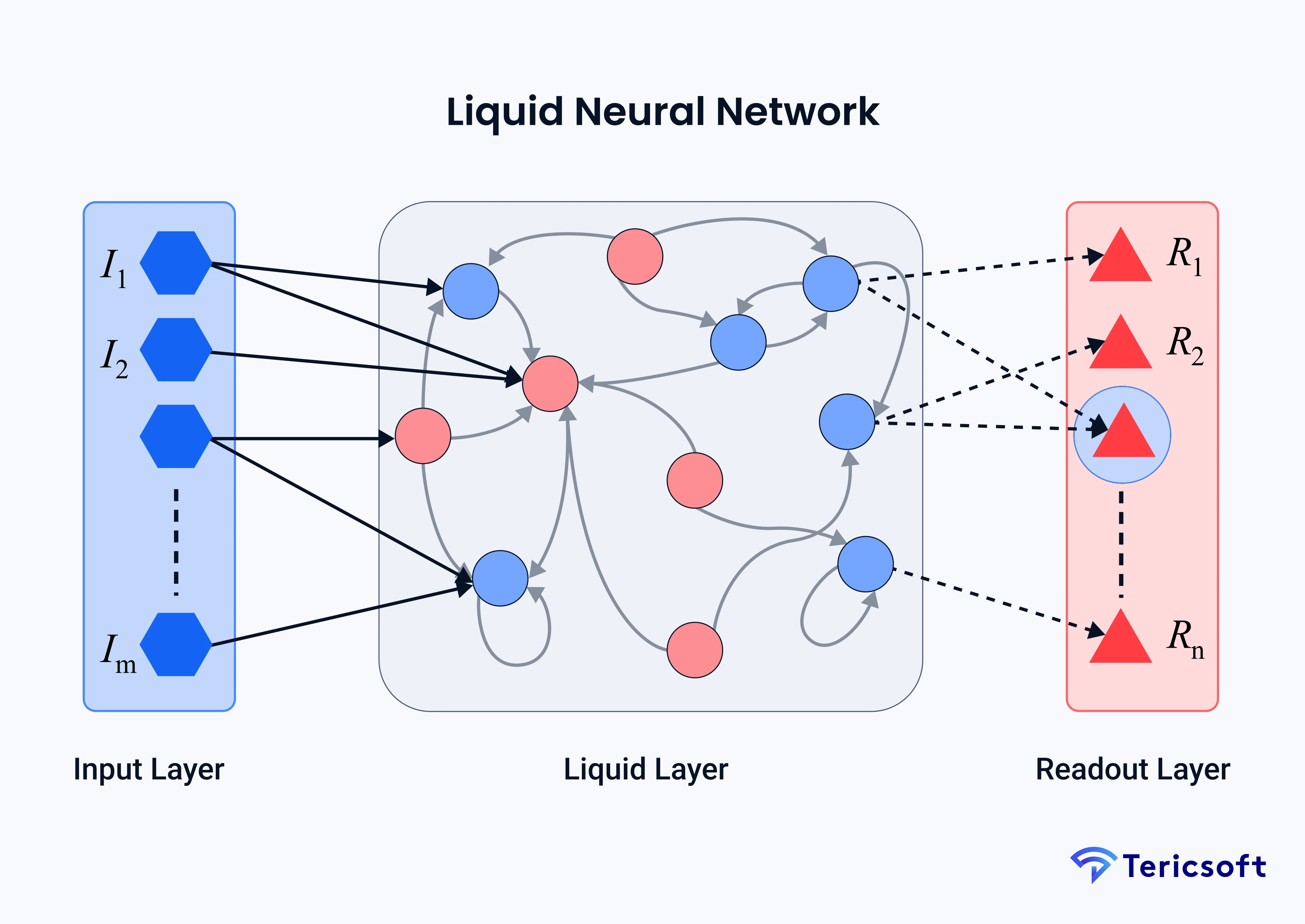 Why We Call Them Liquid LLMs and What the Name Signifies?