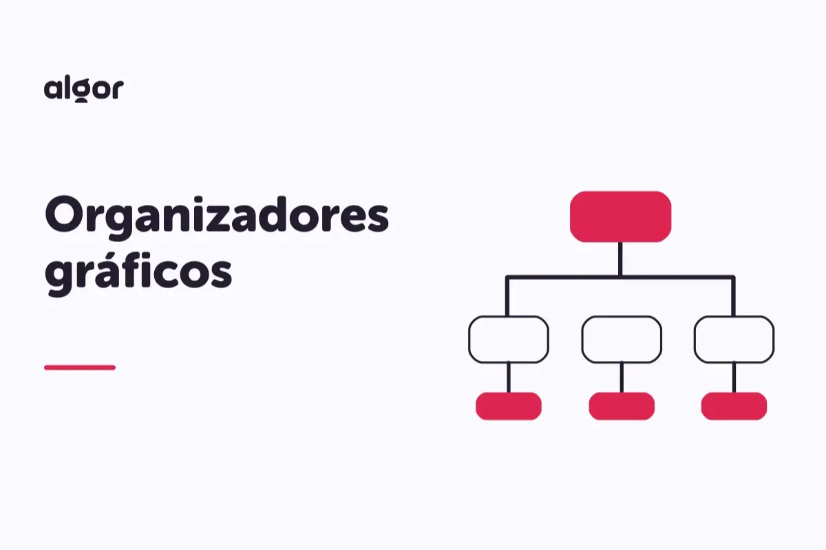 Organizadores gráficos