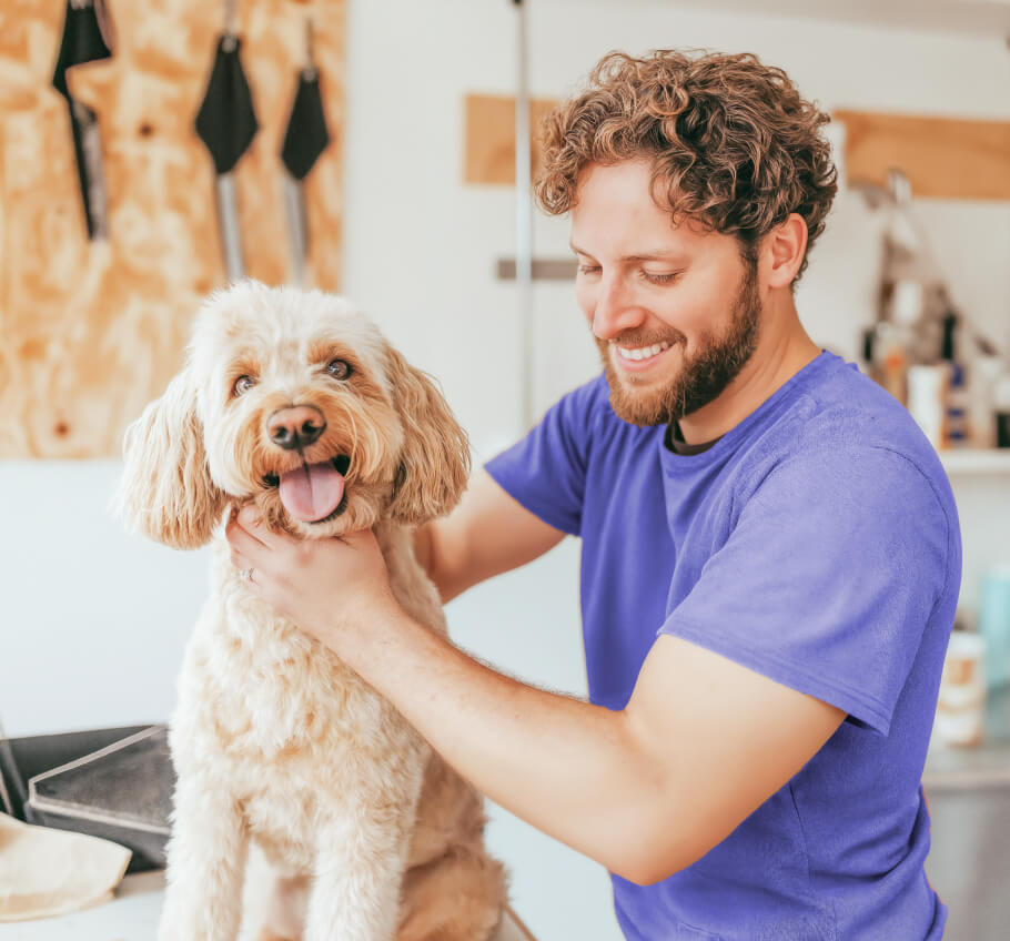 Out Services 3 Pawcare Webflow Template | Brix Templates