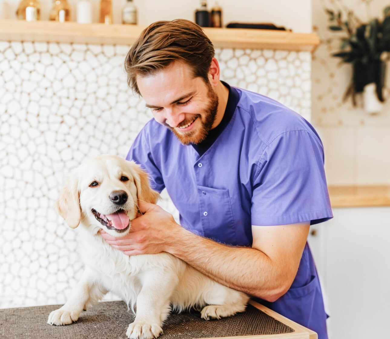 Why Choose Us For Your Pet Pawcare Webflow Template | Brix Template