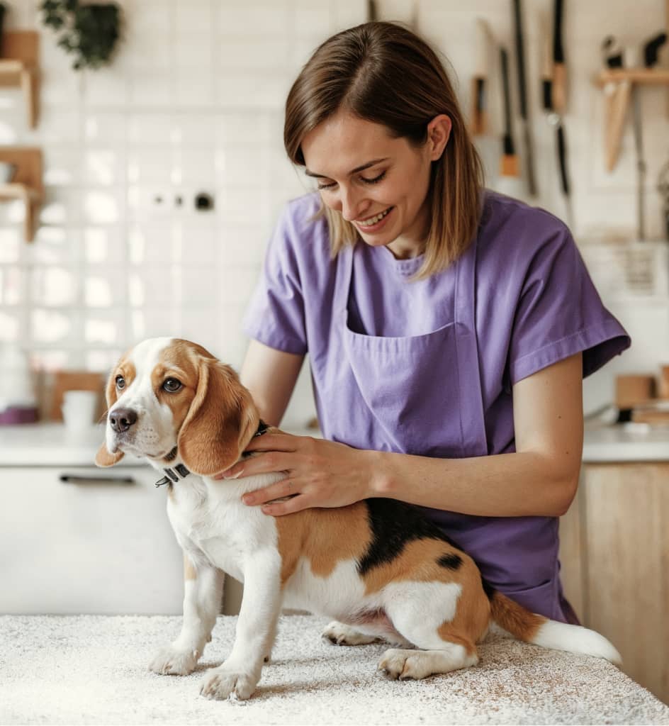 Stunning Style Gallery 03 Pawcare Webflow Template | BRIX Template







