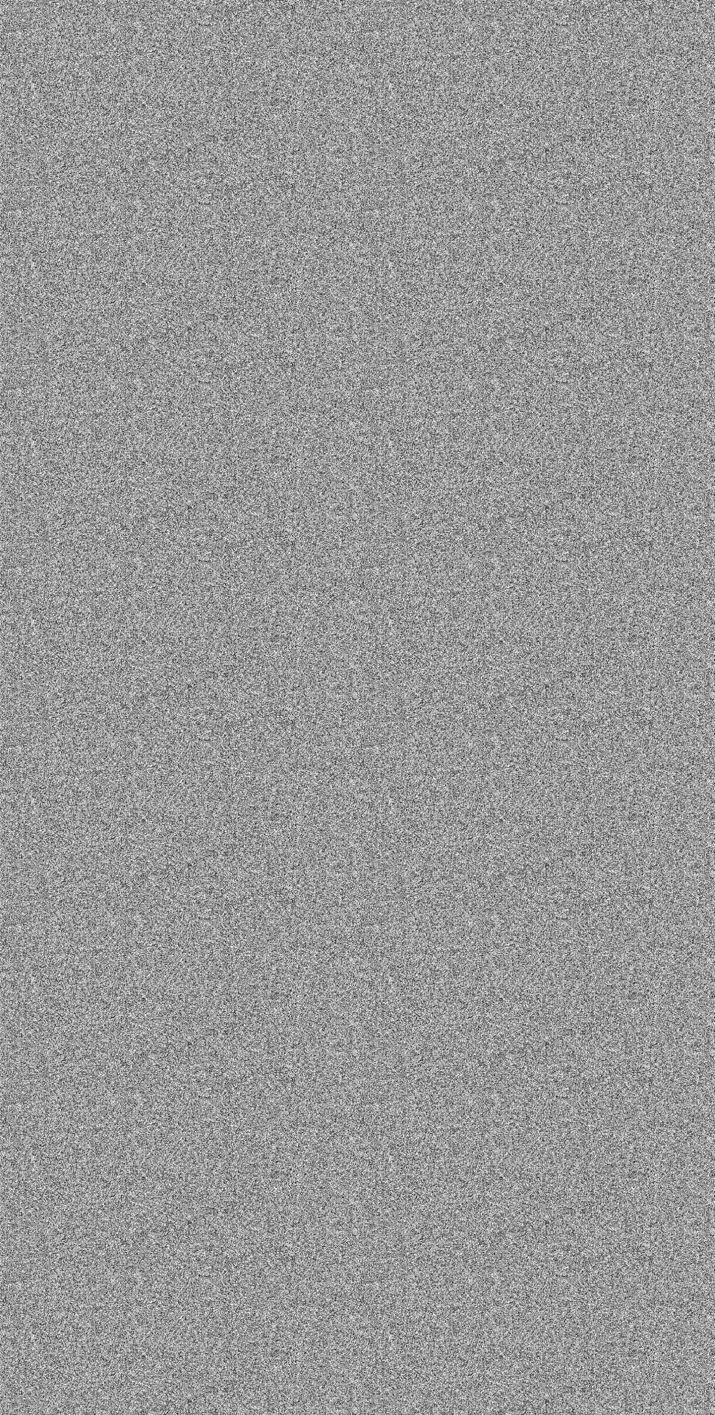 A black and white Bg