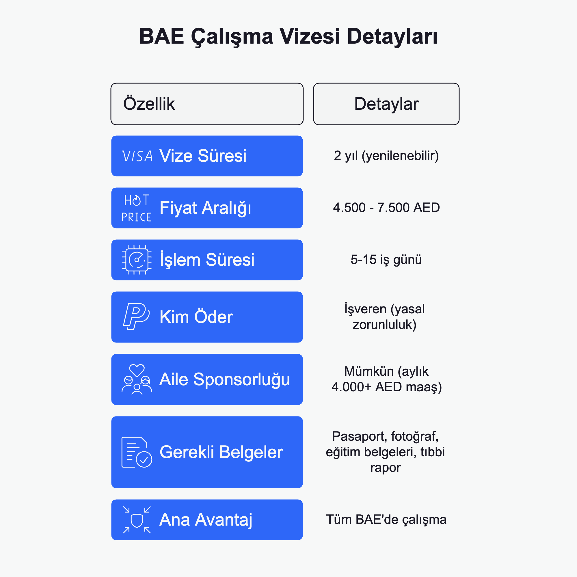 Dubai Çalışma Vizesi