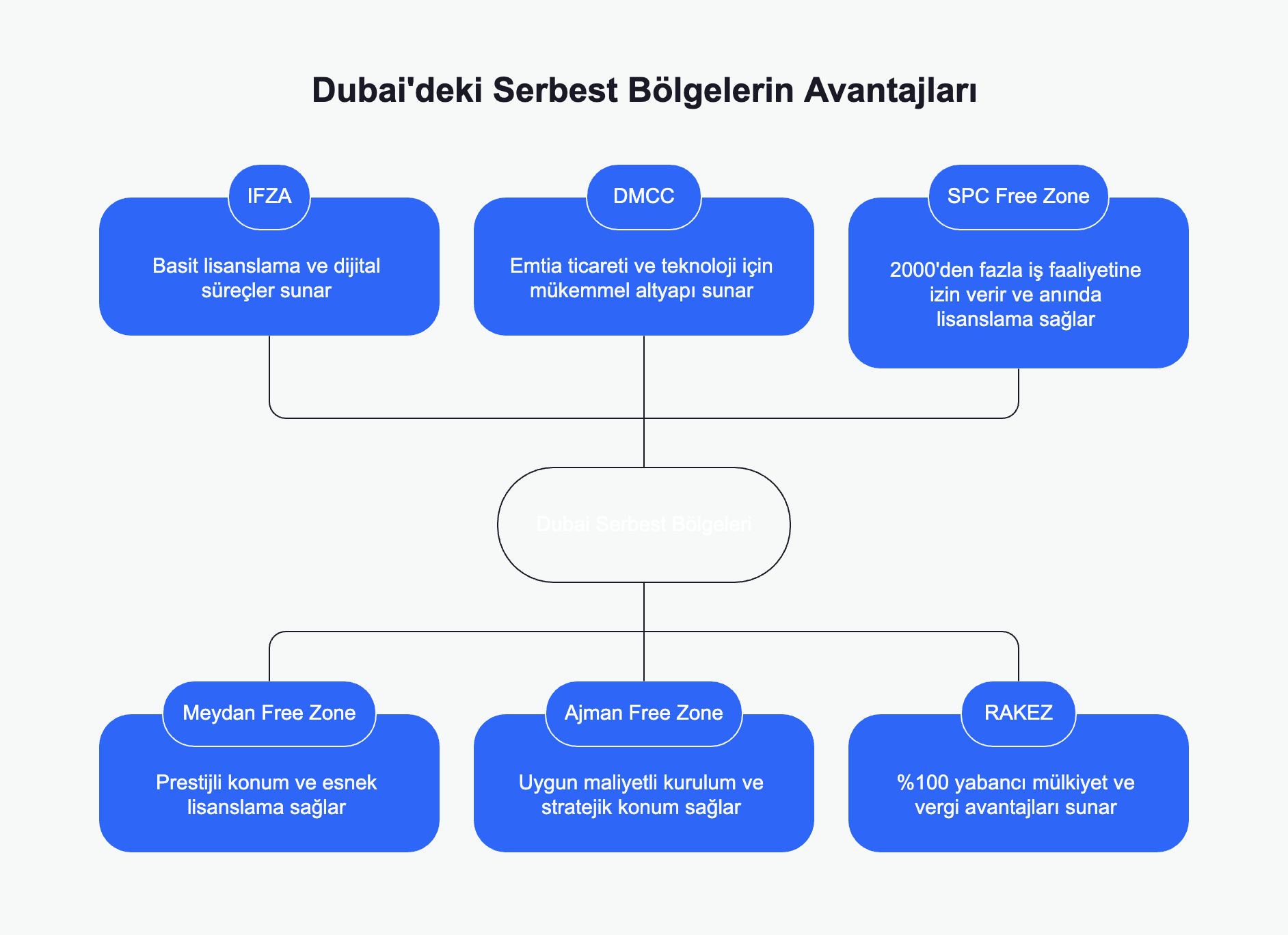 Dubai'de Serbest Bölgelerin Avantajları