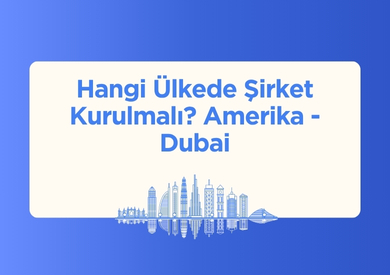 Hangi Ülkede Şirket Kurmalıyım? Amerika mı Dubai mi?