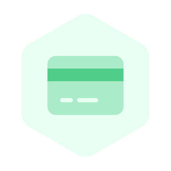 Green credit card icon inside a light green hexagon shape.