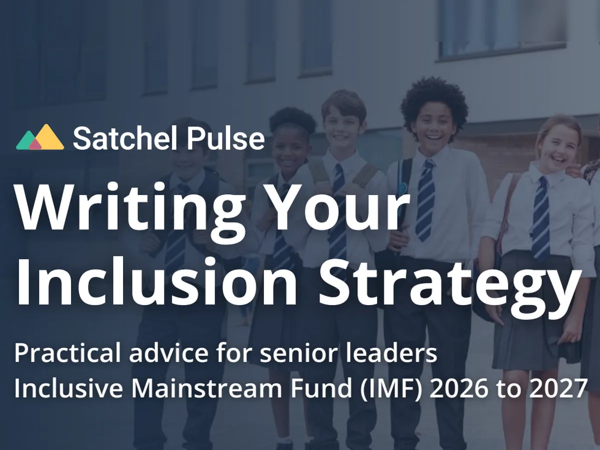 Inclusion Strategy and the Inclusive Mainstream Fund