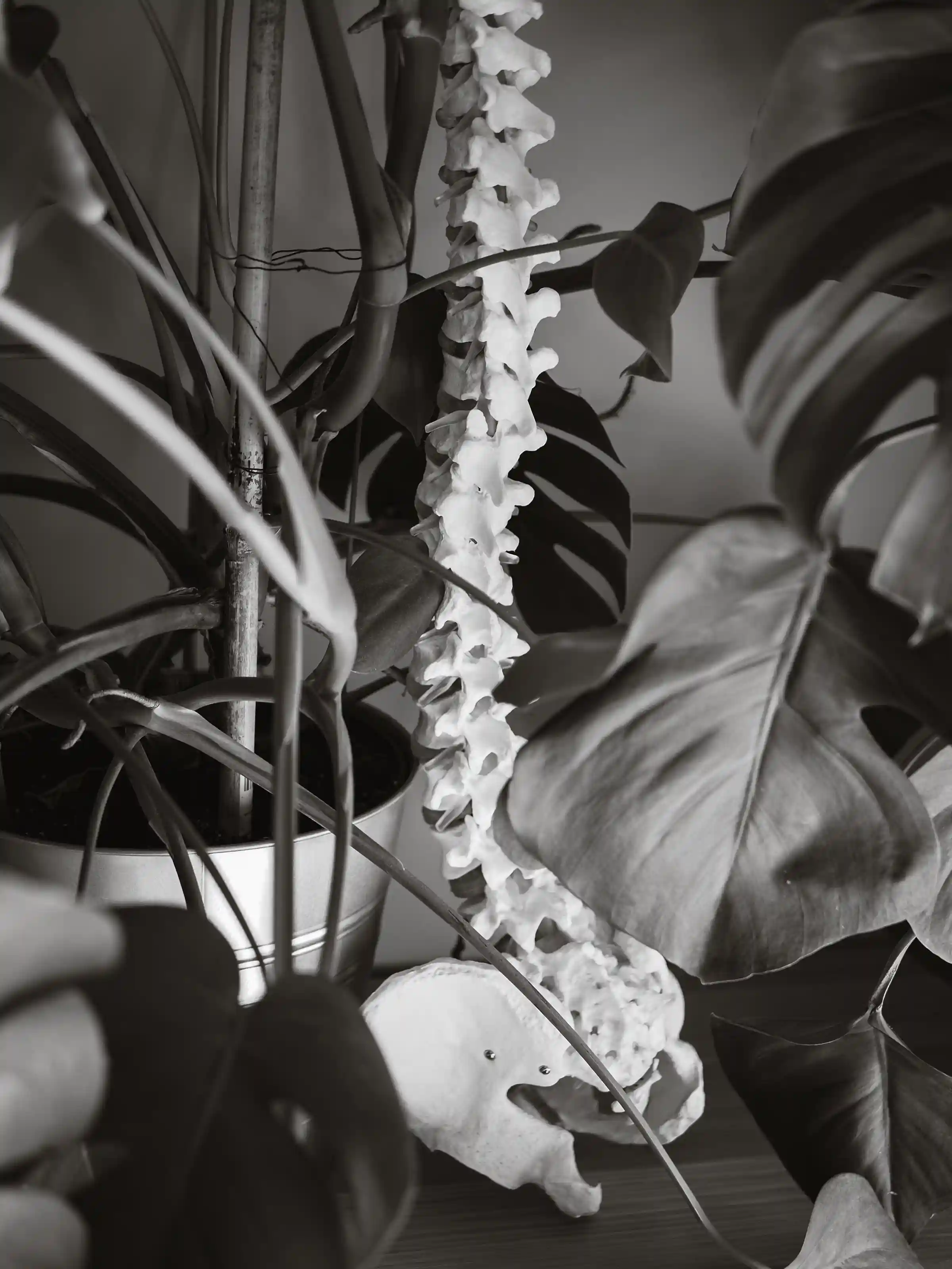 Zdjęcie do artykułu