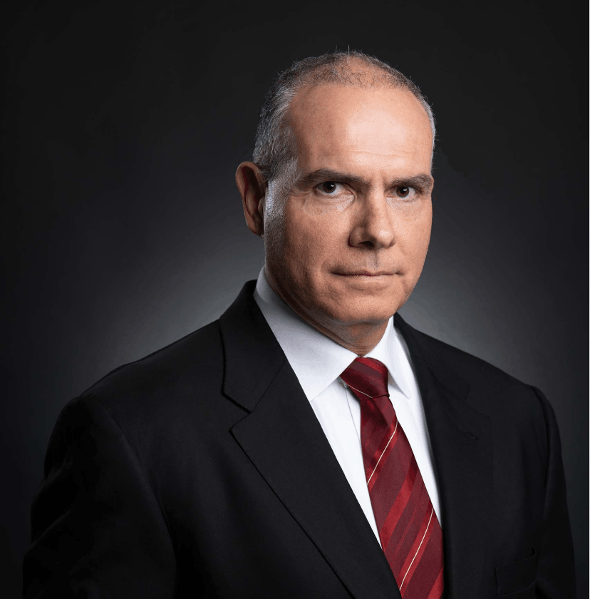 Konstantina coaching professionals in a workshop setting