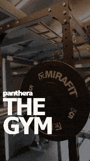 Black weight plates labeled 'MIRAFIT' on a gym rack with ceiling and gym equipment in background, with large white text reading 'parthree THE GYM'.