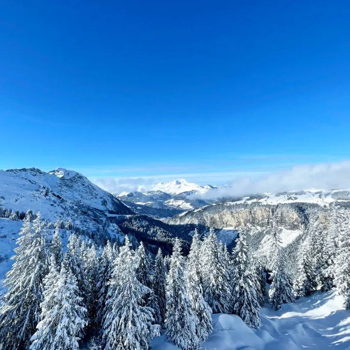 Pistes enneigées d’Avoriaz, immobilier dans les Portes du Soleil.
