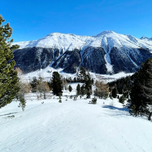 Panorama enneigé de Livigno, propriétés de montagne en Italie.