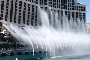 A man sitting at a blackjack table with a parrot on his shoulder saying HIT ME