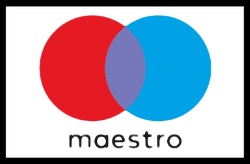 Maestro payment logo