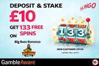 Slingo Casino Free Spins Bonus image