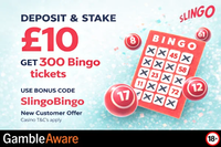 Slingo Casino Bingo image